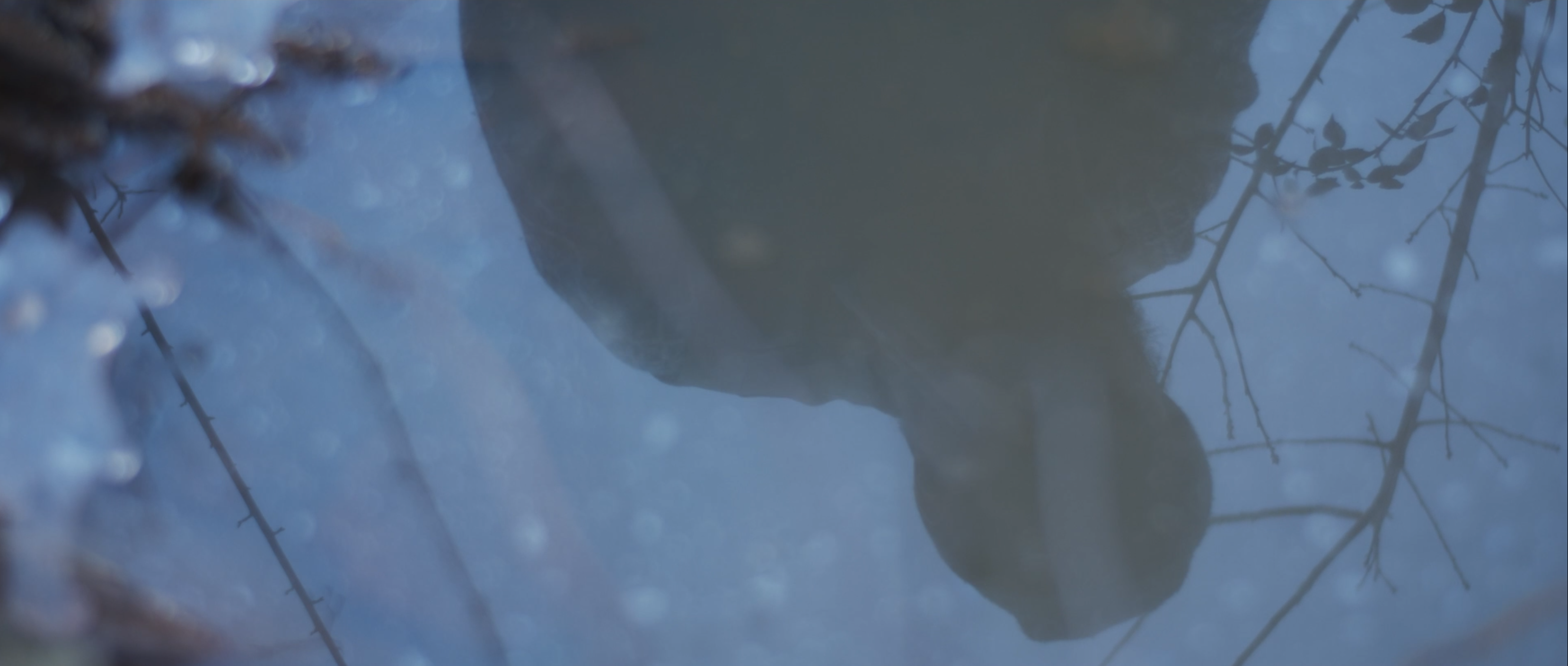 Maddy La Nuit - Directed by Pietro Venier 2021 Not Official Music Video for Flavien Berger Cinematography: Pietro Venier With: Matteo Tommasini and Eleonora Shuli Thanks to Giulia Fegez