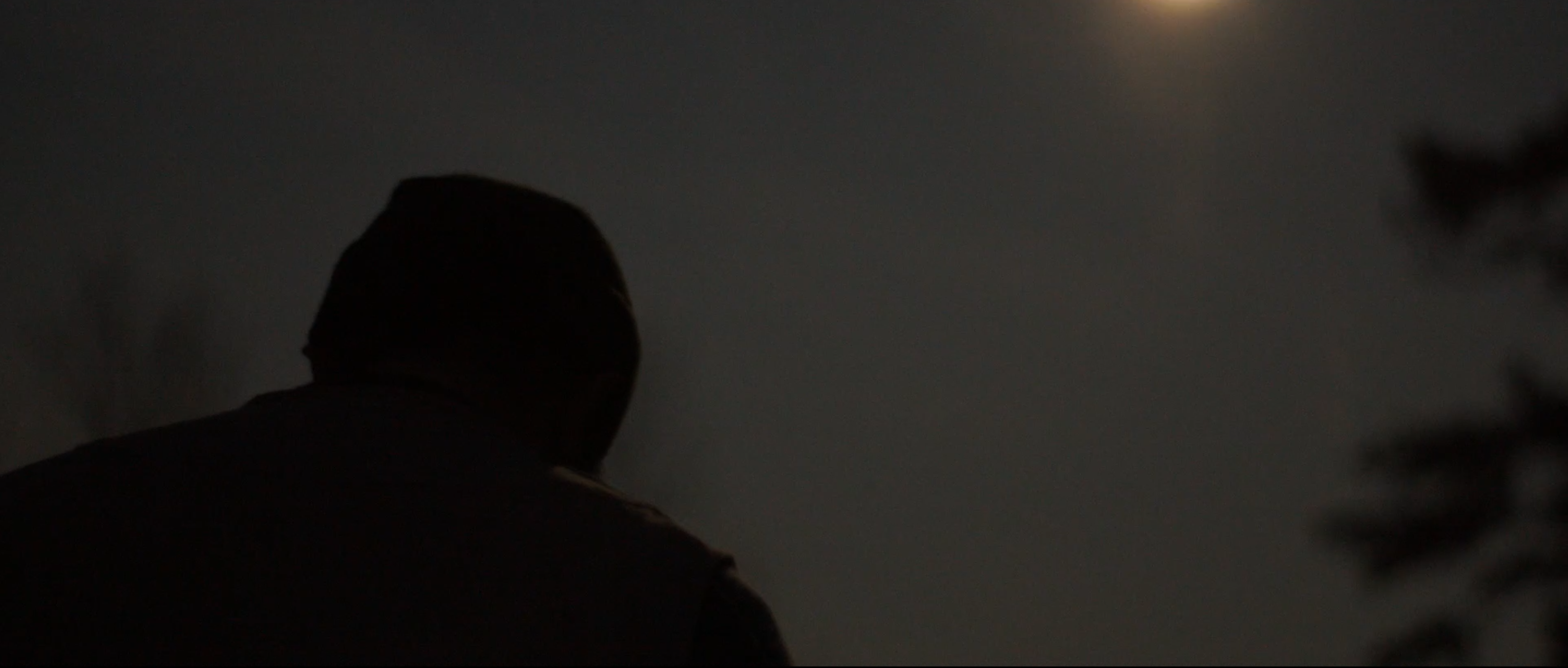 Maddy La Nuit - Directed by Pietro Venier 2021 Not Official Music Video for Flavien Berger Cinematography: Pietro Venier With: Matteo Tommasini and Eleonora Shuli Thanks to Giulia Fegez